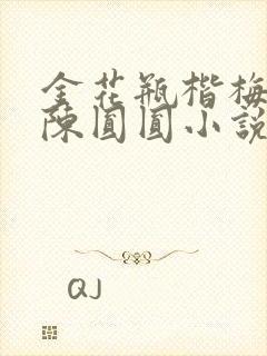 金花瓶楷梅花2陈圆圆小说