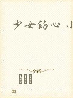 少女的心 小说