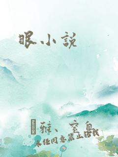 眼小说