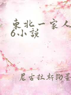 东北一家人1一6小说