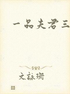 一品夫君三流妻