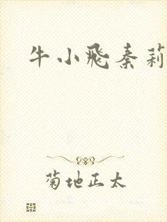 牛小飞秦莉莉