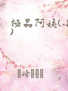 极品阿姨(小说)