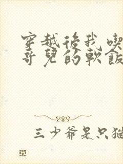 穿越后我吃到了哥儿的软饭炉山灰