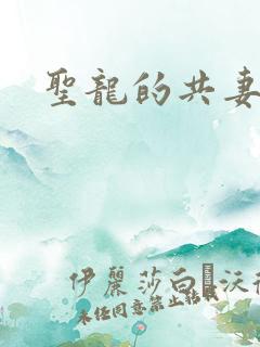 圣龙的共妻