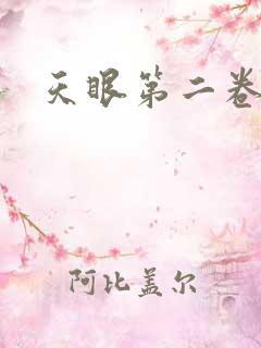 天眼第二卷