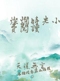 灿烂时光小说免费阅读