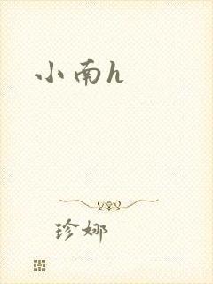 小南h