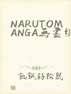 NARUTOMANGA无尽纲手