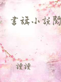 书旗小说阅读网