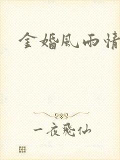 金婚风雨情下载