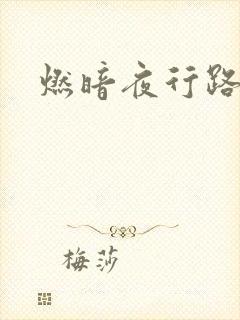 燃暗夜行路