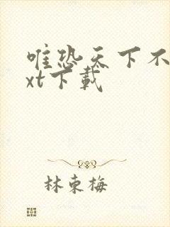 唯恐天下不乱txt下载