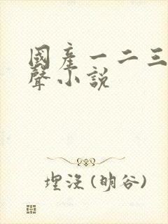 国产一二三区有声小说