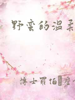 野蛮的温柔