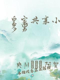 皇家共享小公主多男