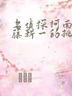 名侦探柯南给工藤新一的挑战书