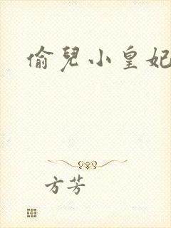 偷儿小皇妃