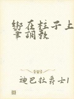 绑在柱子上用毛笔调教