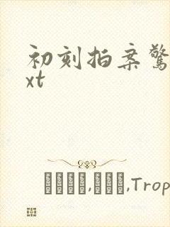 初刻拍案惊奇txt