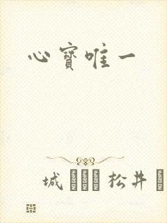 心宝唯一