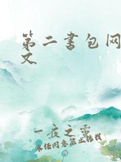 第二书包网高辣文