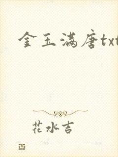 金玉满唐txt