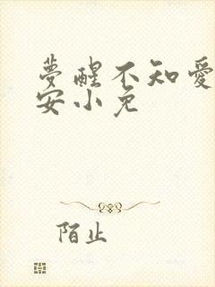 梦醒不知爱欢凉安小免