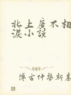 北上广不相信眼泪小说