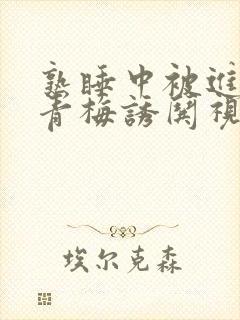 熟睡中被进了H青梅诱哄视频