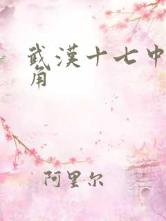 武汉十七中女主角