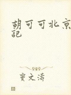 胡可可北京成功记