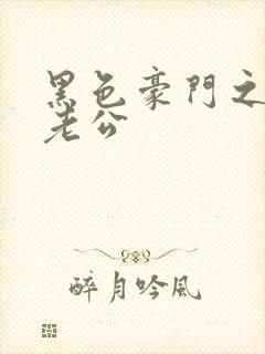 黑色豪门之王子老公