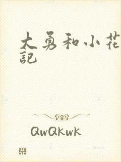 大勇和小花的日记