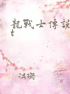 龙战士传说txt