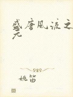 盛唐风流之武状元