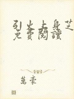 引火上身芝麻糖免费阅读