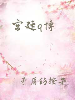宫廷q传