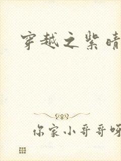 穿越之紫晴郡主