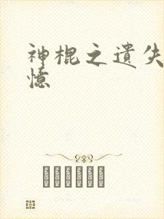 神棍之遗失的记忆