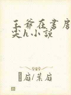 王爷在书房含乳尖h小说