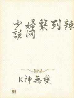 少妇系列辣文小说网