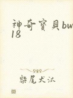 神奇宝贝bw118