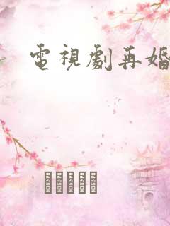 电视剧再婚家庭