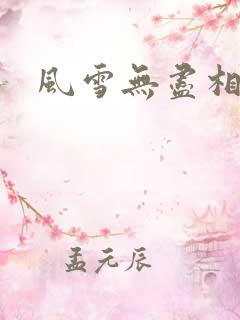 风雪无尽相思情