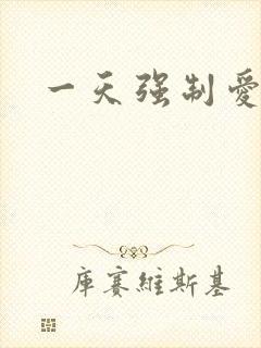 一天强制爱