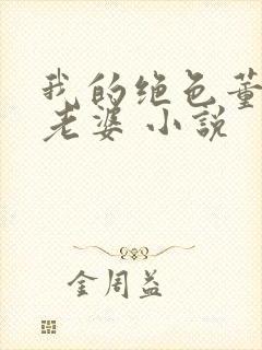 我的绝色董事长老婆 小说