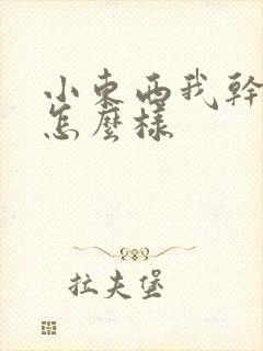 小东西我干的你怎么样