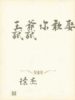 王爷你敢娶小三试试