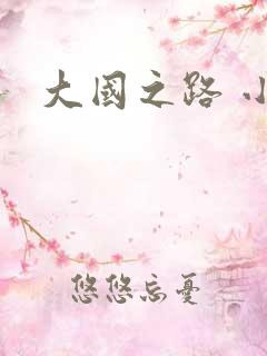 大国之路 小说